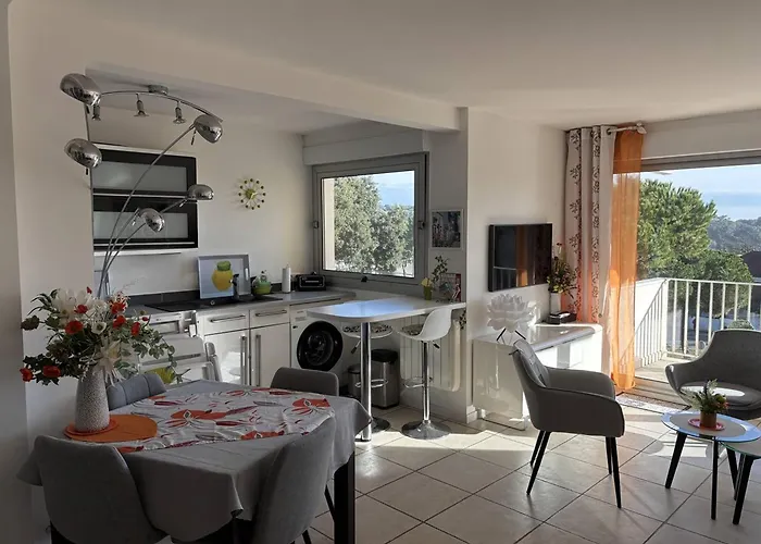 T2 A Saint-palais-sur-mer, Proche De Nauzan, Box Prive - Fr-1-738-52 Apartment *